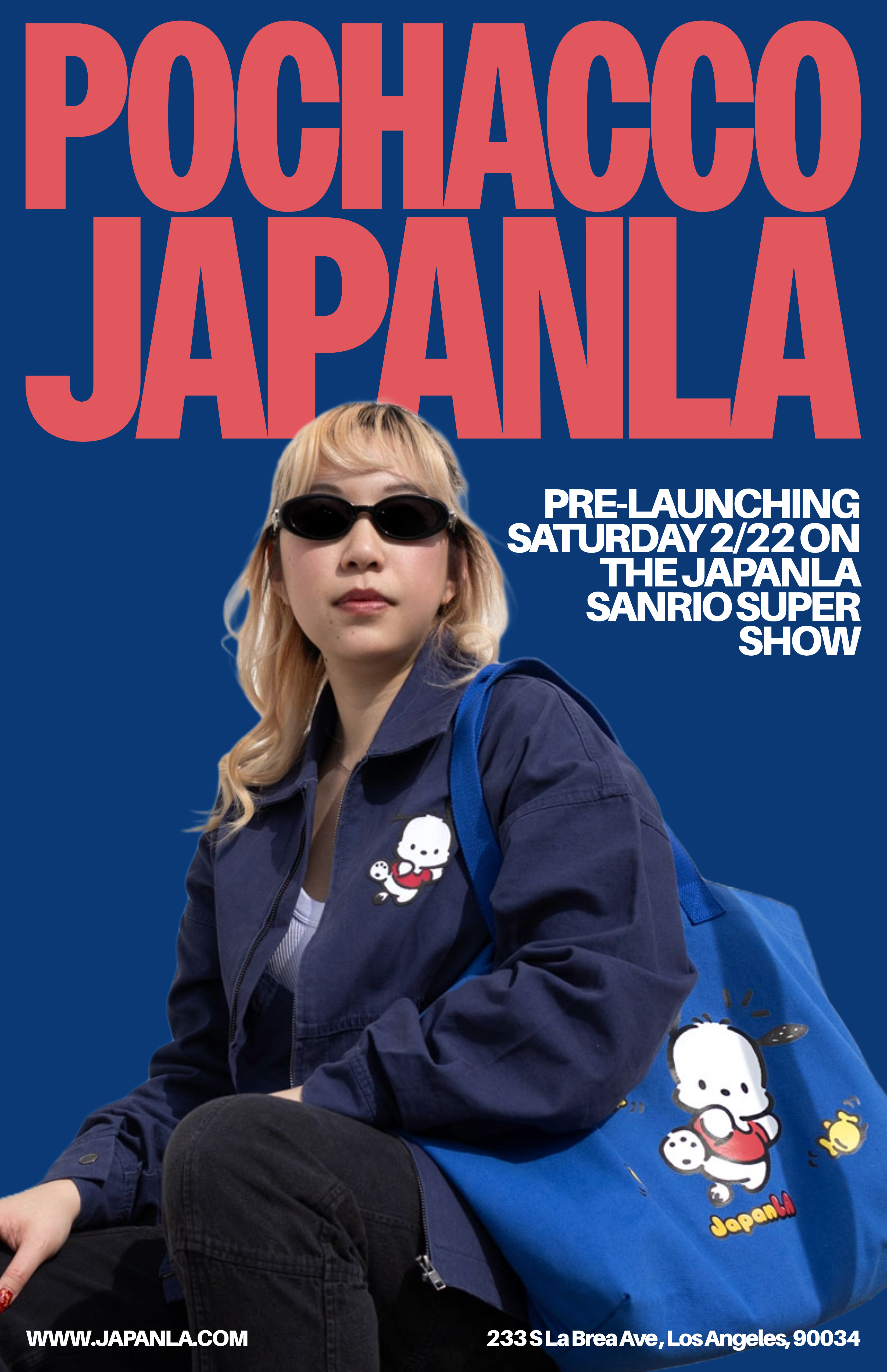 Pochacco Fans, This One is for You! 🐾 – JapanLA