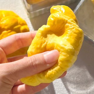 Buttery Bakery Squishy