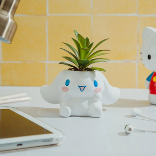 Sanrio Face Mini Planter