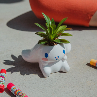 Sanrio Face Mini Planter