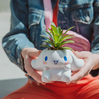 Sanrio Face Mini Planter