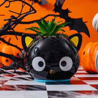 Sanrio Face Mini Planter