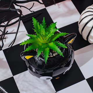 Sanrio Face Mini Planter