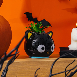 Sanrio Face Mini Planter