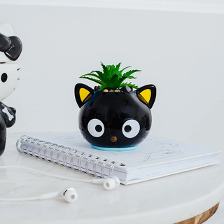 Sanrio Face Mini Planter