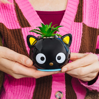Sanrio Face Mini Planter
