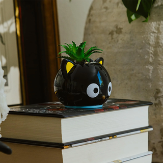Sanrio Face Mini Planter