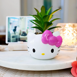 Sanrio Face Mini Planter