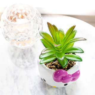 Sanrio Face Mini Planter