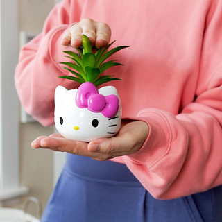 Sanrio Face Mini Planter