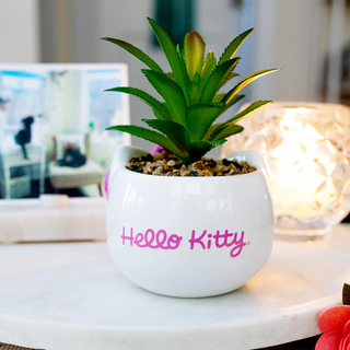 Sanrio Face Mini Planter