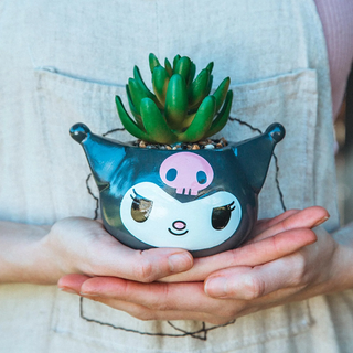 Sanrio Face Mini Planter