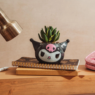 Sanrio Face Mini Planter