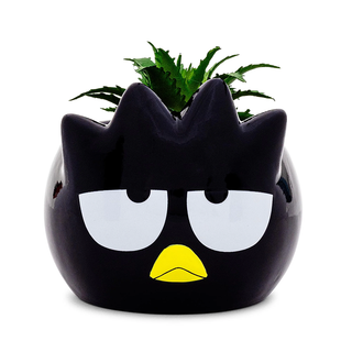 Sanrio Face Mini Planter