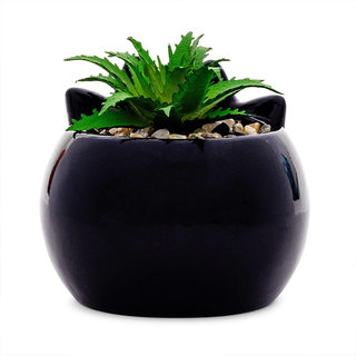 Sanrio Face Mini Planter