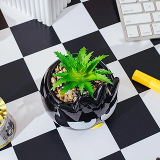 Sanrio Face Mini Planter