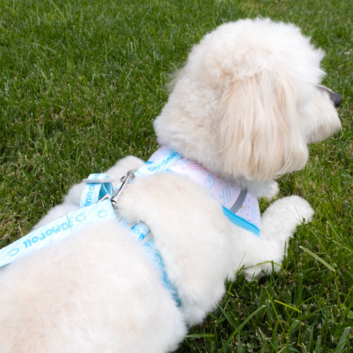 Sanrio Hello Kitty Pet Leash Vest Harness (Small) – hihi