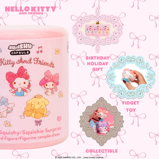 Sanrio Lovely Ribbon SquiSHU Blind Box