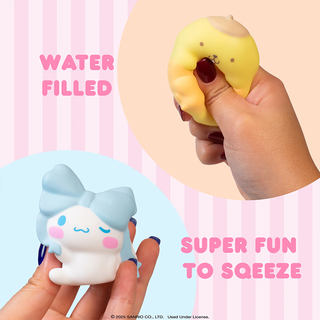 Sanrio Lovely Ribbon SquiSHU Blind Box