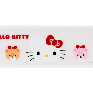 Sanrio Mesh Panel Hanging Accessory Rack