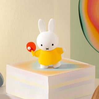Miffy Doing Things Blind Box