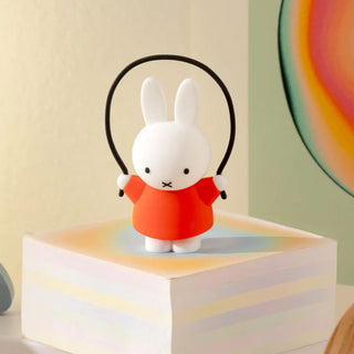 Miffy Doing Things Blind Box