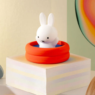 Miffy Doing Things Blind Box