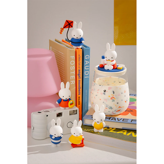 Miffy Goes Outside Figure Blind Box