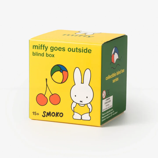 Miffy Goes Outside Figure Blind Box