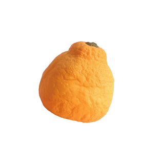 Realistic Fruit Squishy