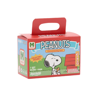 Peanuts Cookie Misho Mart Blind Box
