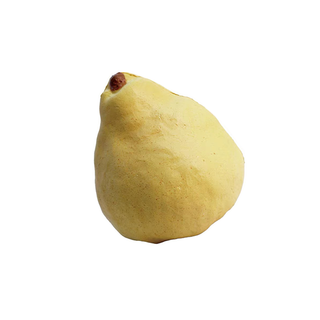 Realistic Fruit Squishy