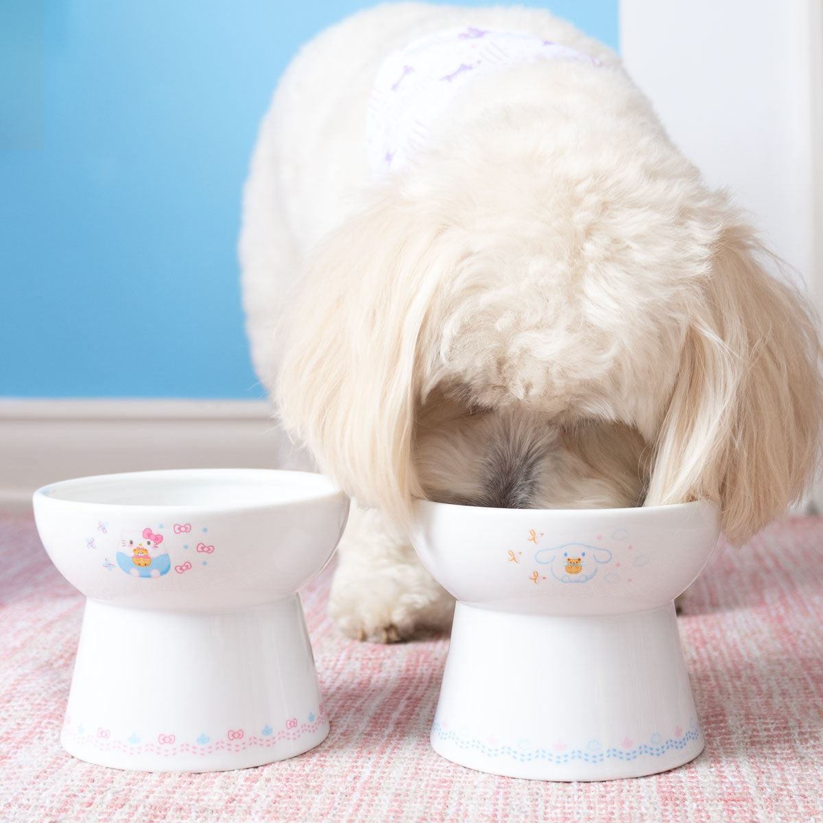 Sanrio Pet Food Bowl – JapanLA