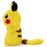 Pokemon Fluffy Small Plush