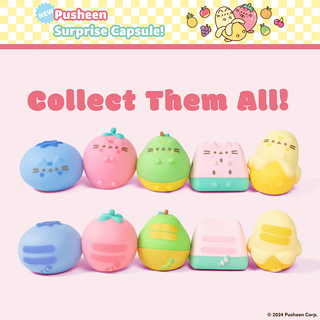Pusheen Fruits SquiSHU Blind Box
