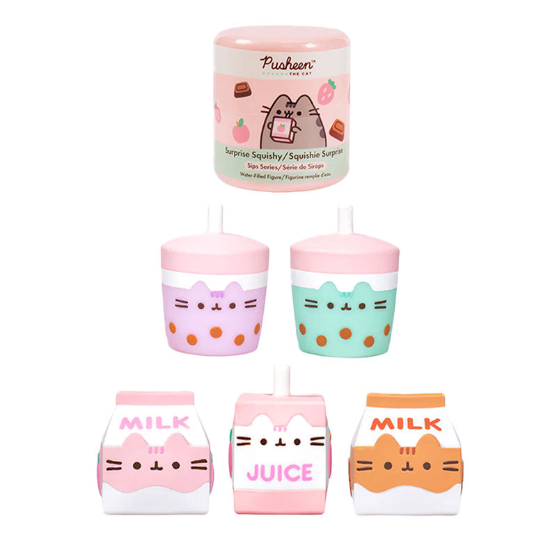 Pusheen series 4 deals
