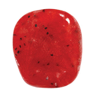 Watermelon Sorbet Squishy