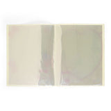 Sanrio Enjoy Idols A4 Clear File Folder