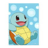 Pokemon Fancy Puzzle Squirtle