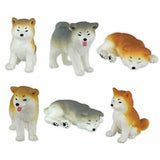 Akita Dogs Figure Capsule