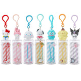 Sanrio Character Hair Pins with Case
