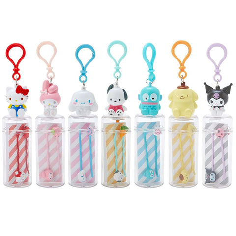 Sanrio Character Hair Pins with Case