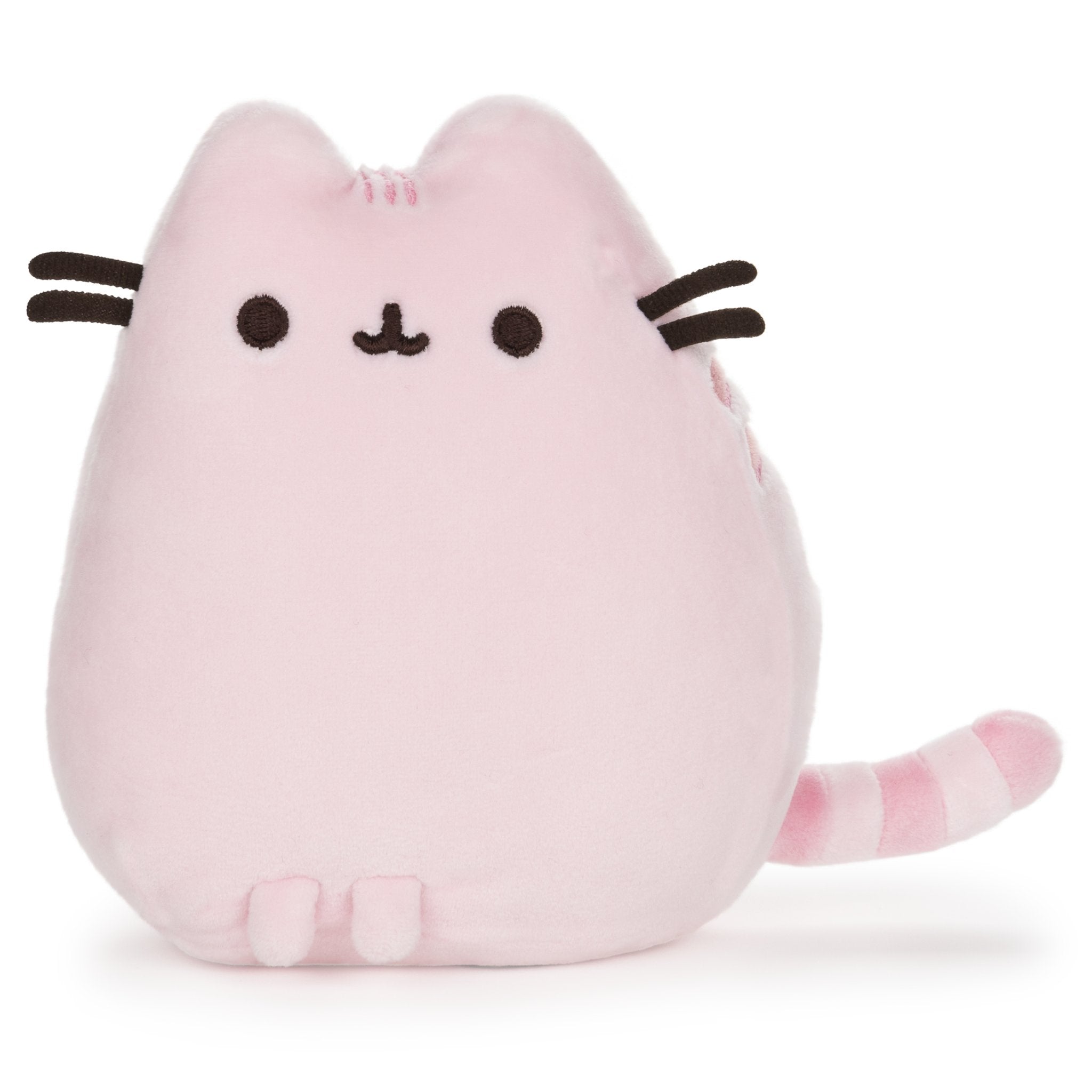 Pusheen by the Numbers: A Little Painting Kit